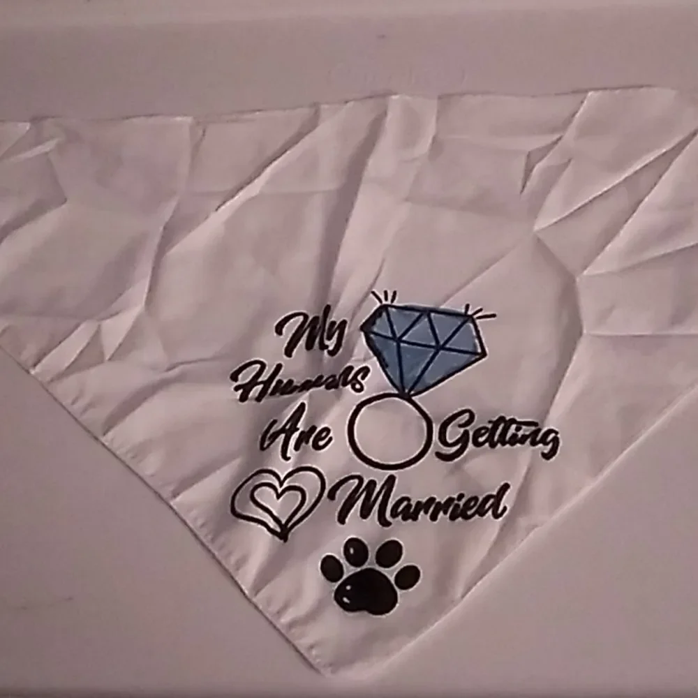 Pet Bandana